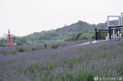无锡马山网红景点,网红打卡地，山水画卷中的现代风情