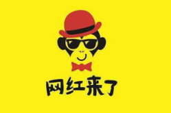网红什么时候出现的,揭秘网红崛起的奥秘与影响