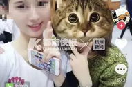 抖音前20网红,揭秘流量密码，揭秘网红背后的故事”