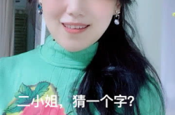 字谜二小姐打一字,揭开古代字谜中的次女之谜