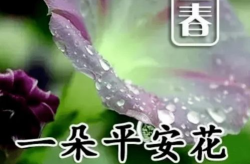 春意闹免费阅读,免费阅读带你领略诗意春天