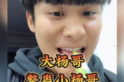小杨哥搞笑视频,小杨哥搞笑视频集锦，欢乐无限